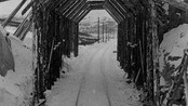 Nordlandsbanen til Bodø - Åpning av jerbanen til Bodø. Fra 1962.
OBS: Ligger ute i NRK Nordland Fylkesleksikon!