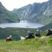 Utsyn over Viglesdalen