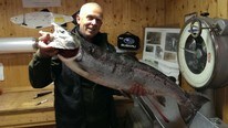 Knut Åge Christiansen med en laks på 13,3 kg (Foto: Arbeidernes Jeger og Fiskerforening Halden) Knut Åge Christiansen med en laks på 13,3 kg (Foto: Arbeidernes Jeger og Fiskerforening Halden)