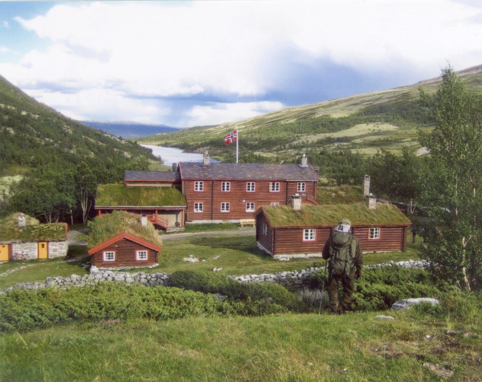 Bjørnhollia