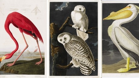 BRITAIN-LITERATURE-AUCTION (Foto: HANDOUT/Afp/Scanpix)