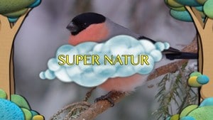 Super Natur