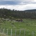 Skjellbreidhytta og Kokslien seter