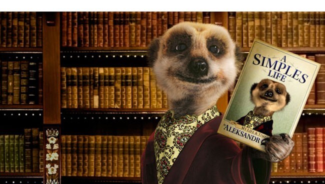 Aleksandr Orlov the meerkat (Foto: Comparethemeerkat.com) Aleksandr Orlov the meerkat (Foto: Comparethemeerkat.com)