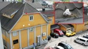 Iheridg måkepar i Tønsberg (Foto: Yngve Tørrestad/NRK)