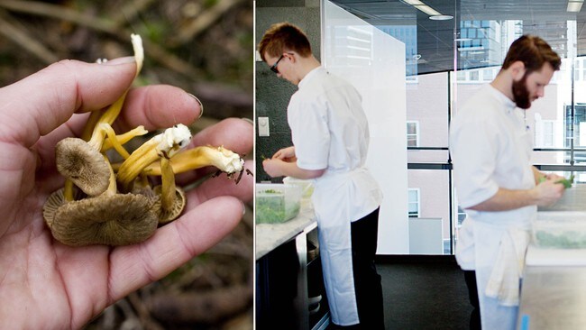 Maaemo satser kortreist (NTB Scanpix) Maaemo satser kortreist (NTB Scanpix)
