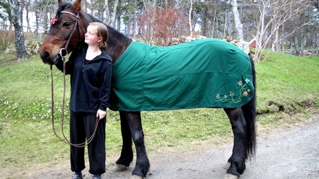 bunadshest (Foto: Per Willy Larsen/NRK)