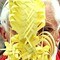 Pave Benedict XVI titter frem bak et palmeblad på Petersplassen i Roma.
