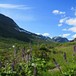 Sommeridyll ved Kljåen i Hemsedal