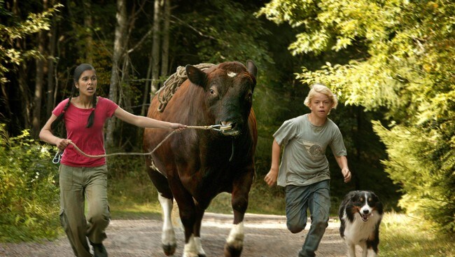 Fra filmen 'Venner for livet' (Foto: Nordisk Film AS) Fra filmen 'Venner for livet' (Foto: Nordisk Film AS)