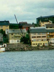 Bjørk i Vadsø i 1992 (Foto: Privat)