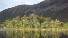 Mot Vangshaugen