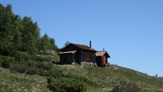 Tjønndalen