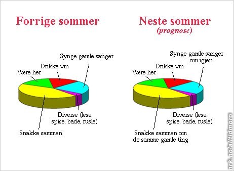 Neste sommer diagram (Foto: Fotofikling: Alltid Moro)