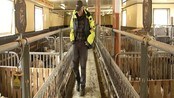 Mikrokraftverk held garden i live - Sveinung Havrevoll, bonde med mikrokraftverk i Suldal, Rogaland.