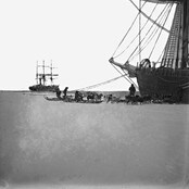 'Fram' og 'Terra Nova' i Hvalbukta, Antarktis, 4. februar 1911 (Foto: ukjent/eier: Nasjonalbiblioteket, bldsa_NPRA1472) 'Fram' og 'Terra Nova' i Hvalbukta, Antarktis, 4. februar 1911 (Foto: ukjent/eier: Nasjonalbiblioteket, bldsa_NPRA1472)