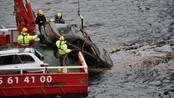 Bilvrak blir henta opp frå Hagelsundet
