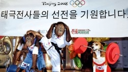 Orangutanger i aksjon under dyrenes Ol i en dyrepark sør for Seoul (Foto: CHOI JAE-HO/AFP) Orangutanger i aksjon under dyrenes Ol i en dyrepark sør for Seoul (Foto: CHOI JAE-HO/AFP)