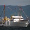 Kongeskipet kommer til Trondheim onsdag morgen Kongeskipet kommer til Trondheim onsdag morgen