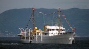 Kongeskipet på Trondheimsfjorden