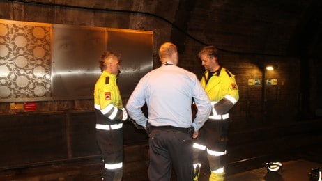 Elg i tunnelen (Foto: Martin Zondag /NRK) Elg i tunnelen (Foto: Martin Zondag /NRK)