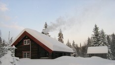 Myrseter