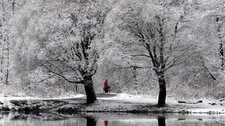 Vinter (Scanpix) Vinter (Scanpix)