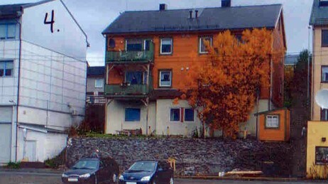 Bjørk i Vadsø (Foto: Privat)