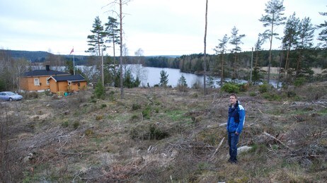 Hyttetomta som har fått byggenekt ved Femsjøen (Foto: NRK/NRK) Hyttetomta som har fått byggenekt ved Femsjøen (Foto: NRK/NRK)