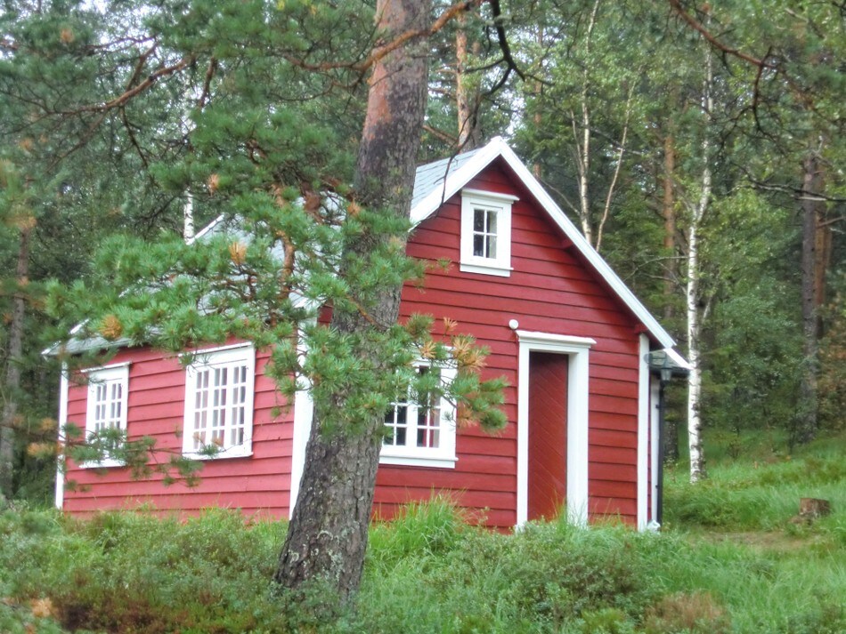 Veslebu, sommeren 2010