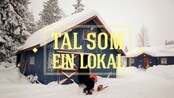 Utkant: Snåsa - Tal som ein lokal, Quiz - Da er det klappet og klart for den sjuende utgaven av den kjempespennende språk- og dialektspalten "tal som ein lokal" fra NRK 3 - serien Utkant.