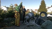 Folk vil ha ekte juletrær - Juletresalget går som aldri før. Og folk vil ha ekte vare, selv om juletre av plast både varer lengre, drysser mindre og er enklere å håndtere./