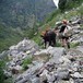 Aurlandsdalen - vill og vakker