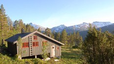 Vindølbu