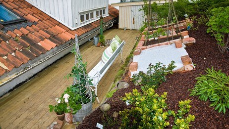 Sitteplass med lett tilgang til urtehagen. (Foto: PER FOSS/NRK) Sitteplass med lett tilgang til urtehagen. (Foto: PER FOSS/NRK)