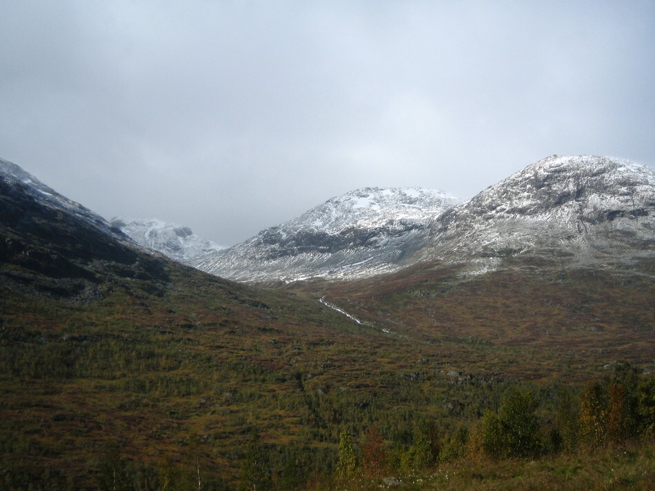 Skogadalsbøen