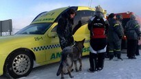 Snøskred i Smalfjord (Foto: Nils Henrik Måsø/NRK)