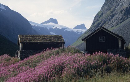 Hva med å ende turen med en vanding gjennom Stølsmaradalen på vei ned til Vetti Gard!?