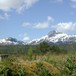 Snota