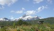 Snota