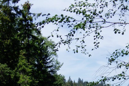 Vann i Nordmarka. Foto: Hilde Løken Magnussen, DNT Oslo og Omegn