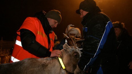 Kristian Øvernes og Anders Eivind Eira (Foto: Roger Manndal, NRK) Kristian Øvernes og Anders Eivind Eira (Foto: Roger Manndal, NRK)