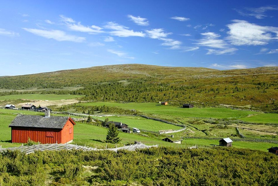 Øyerfjellet ved Lillehammer