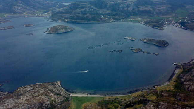 Bessaker (Foto: Håvard Zeiner/NRK)