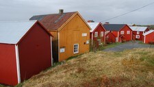 Nes på Vega (Foto: Billy Jacobsen / NRK 2009)