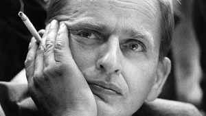Palme 2:3