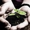 Vinnar, Young Travel Photographer of the Year 2011: To hender held ei plante.