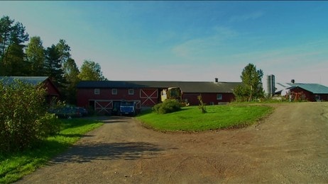 Gården til Andebu-ordfører Bjarne Sommerstad (Foto: Per Foss/NRK) Gården til Andebu-ordfører Bjarne Sommerstad (Foto: Per Foss/NRK)