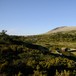 Utsikt over Raudsjødalen