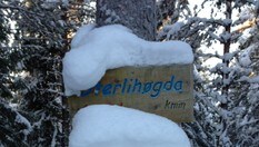 Oterlihøgda - Kjentmannsmerkepost i Odalen i 2013